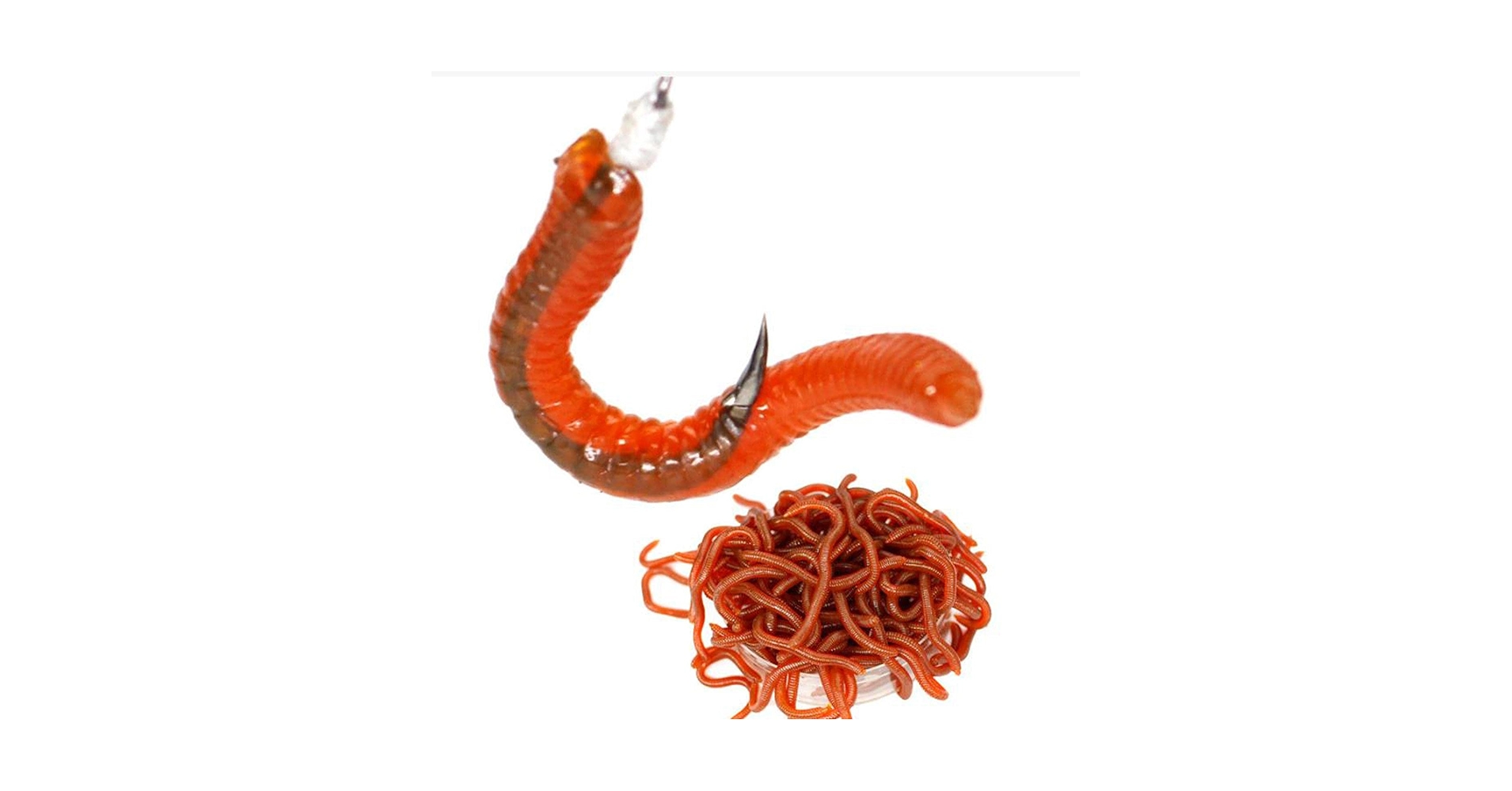 61WEwFp+PUL.jpg_BO30,255,255,